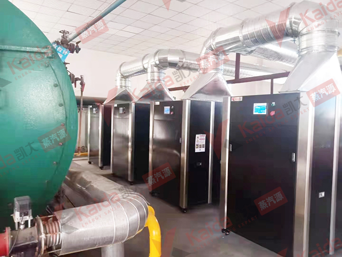 河南大型香肠企业4吨天然气锅炉改造，低氮节能显著